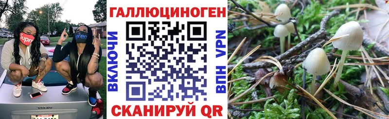 Псилоцибиновые грибы Psilocybe  даркнет как зайти  Чебоксары  OMG онион 