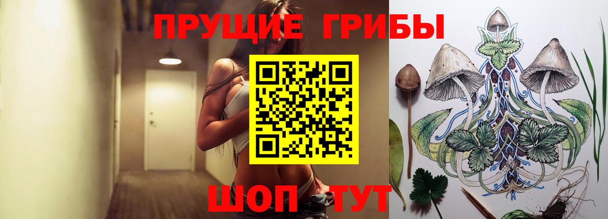 Чебоксары  Галлюциногенные грибы ЛСД  Вход с VPN 